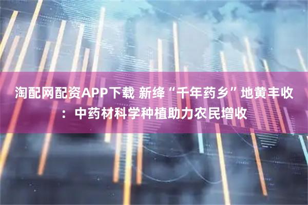 淘配网配资APP下载 新绛“千年药乡”地黄丰收：中药材科学种植助力农民增收